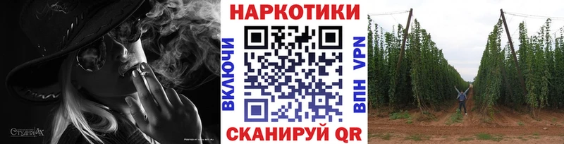 Купить наркотики Тбилисская ГАШ Канабис Cocaine Меф