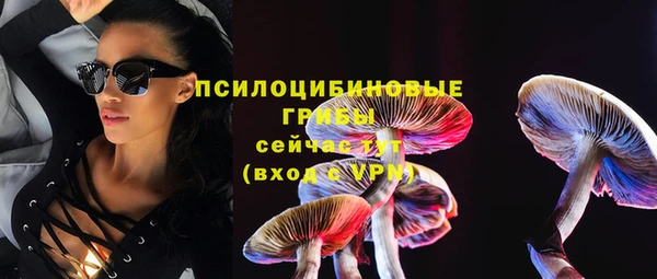 синтетический гашиш Няндома
