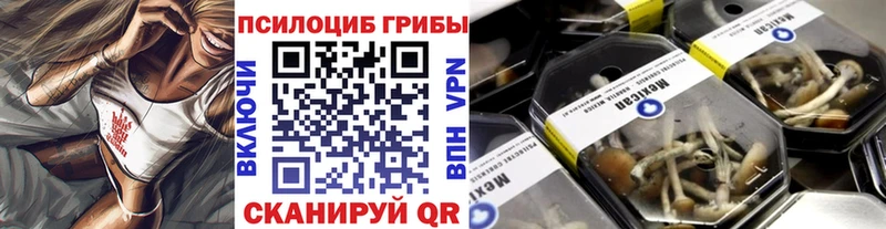 MEGA онион  Тбилисская  Псилоцибиновые грибы Psilocybe 