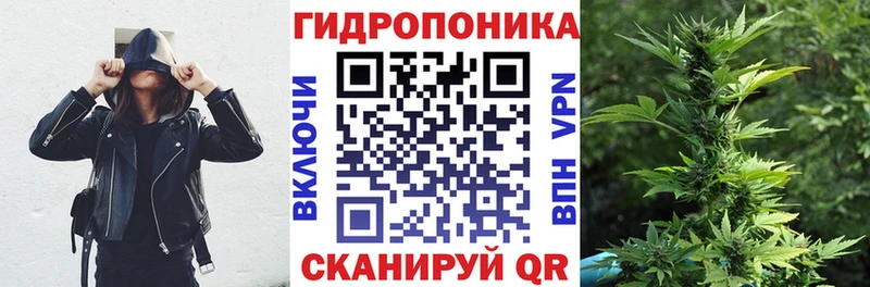 Бошки Шишки White Widow  продажа наркотиков  Тбилисская 